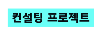 컨설팅 프로젝트